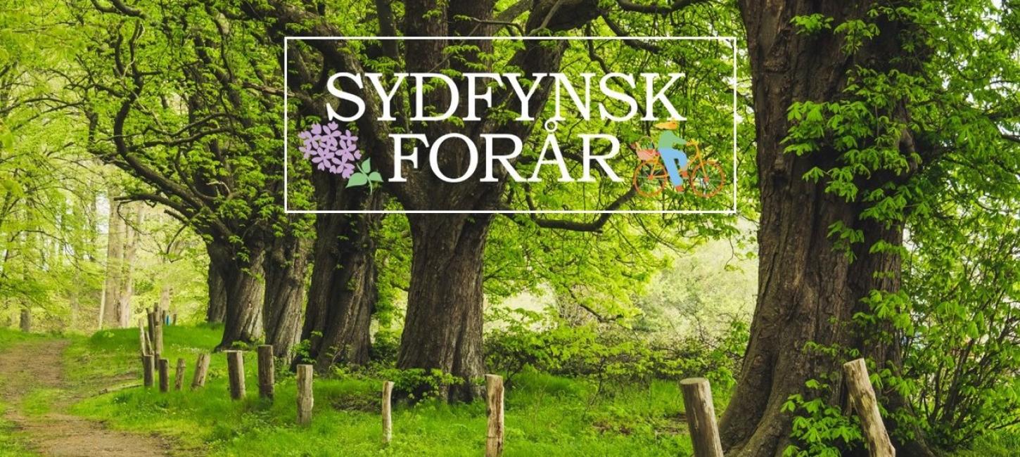 Logo for Sydfynsk Forår på foto af sydfynsk skov