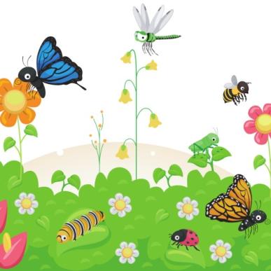 Collage med sommer og forårsblomster, sommerfugle og insekter
