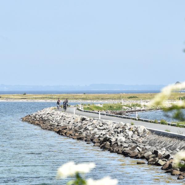 Øhavsperlen Avernakø | Cykelferie | Denmark