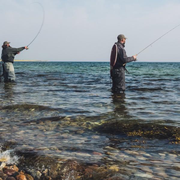 Lystfiskeri på Avernakø