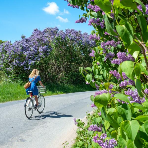 Biking tourist in the Land of Lilacs