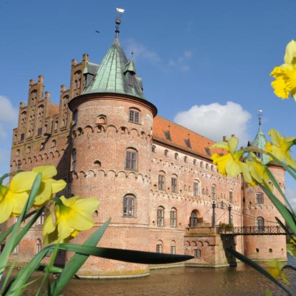 Egeskov med påskeliljer | Faaborg Påskefestival | VisitFaaborg