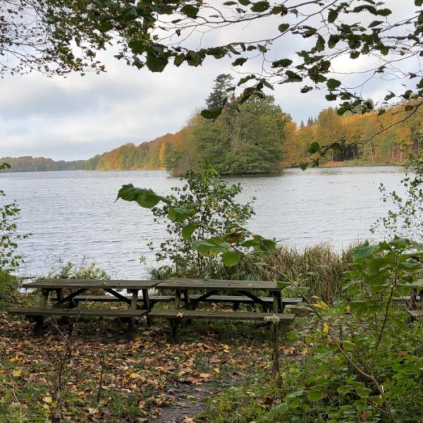 Naturområde Nørresø god til vandreture VisitFaaborg