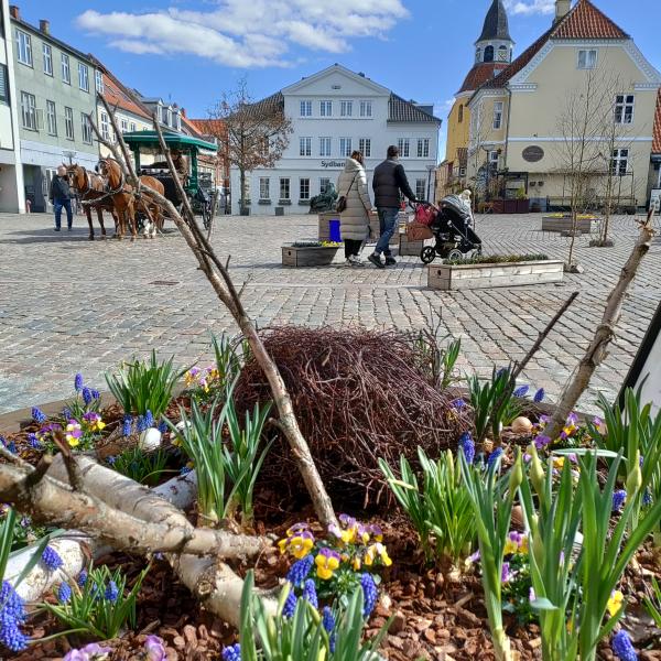Osterblumen auf dem Marktplatz