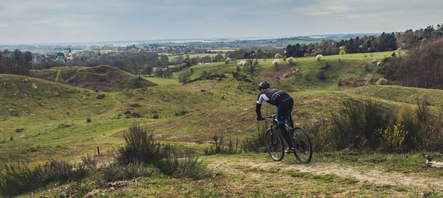 Mountainbikespor i Svanninge | Pipstorn | Ringe | Ibjerg | MTB Tracks