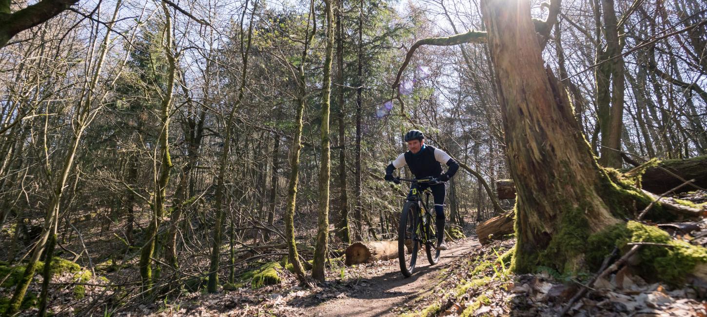 Mountainbikespor i naturområdet Svanninge Bakker | Efterår i skoven | VisitFaaborg