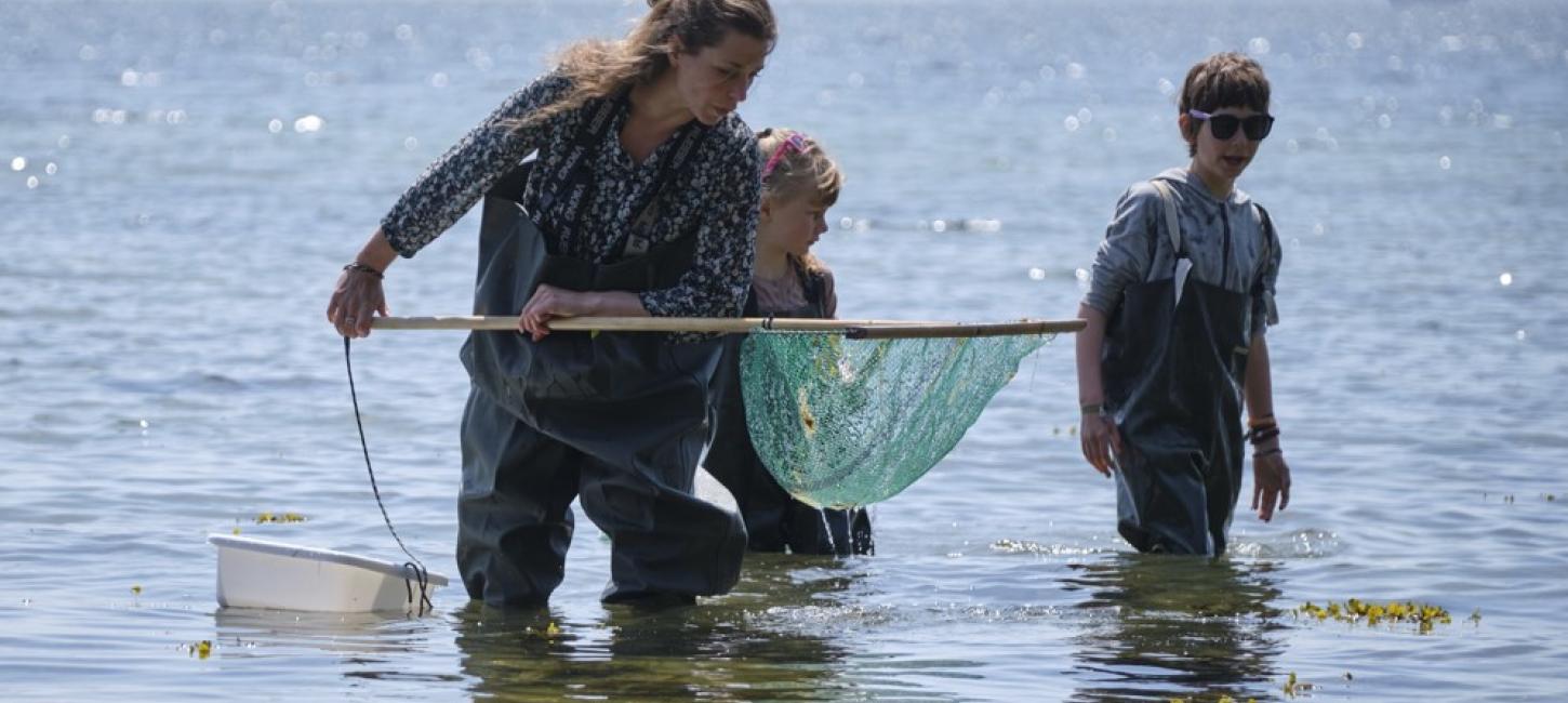 Fiskeri med net i Det Sydfynske Øhav