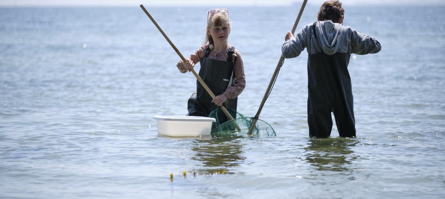 Børn i vandet v. øhavsakademiet