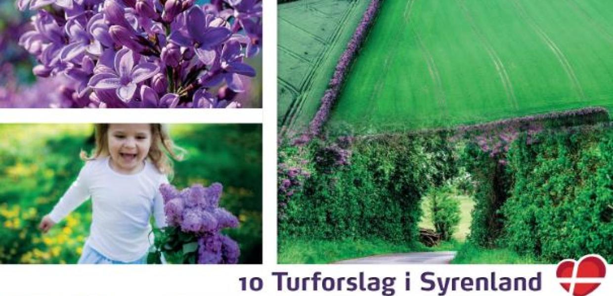 Sydfynske Syrendage brochure om 10 turforslag i Syrenland | VisitFaaborg