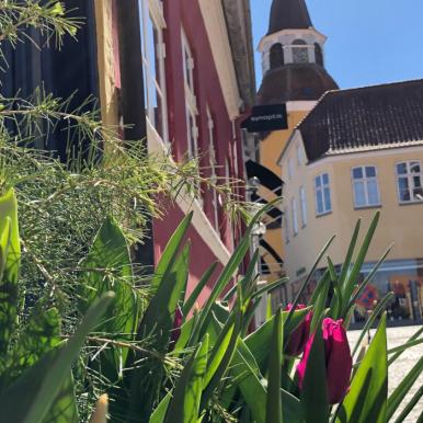 Bøjestræde i Faaborg med tulipaner | Faaborg Påskefestival 2022 | VisitFaaborg