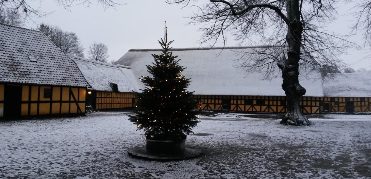 Herregården Lundegaard på Midtfyn julefoto med juletræ og sne