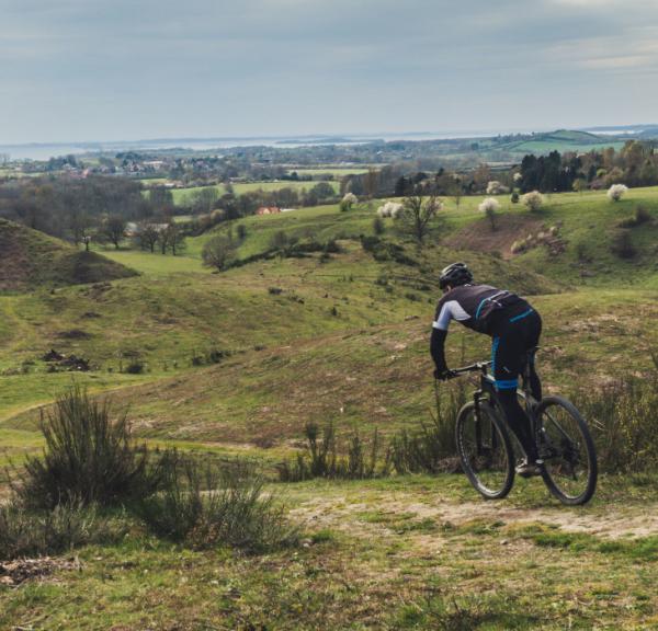 Mountainbikespor i Svanninge | Pipstorn | Ringe | Ibjerg | MTB Tracks