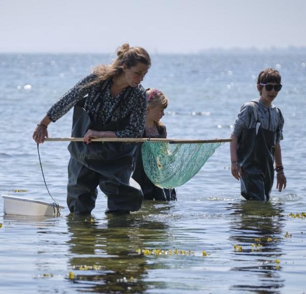 Fiskeri med net i Det Sydfynske Øhav