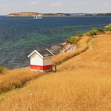 Bjørnø sommeren 2022 | Gæst der vandrer ved Bjørnø Fyr | VisitFaaborg