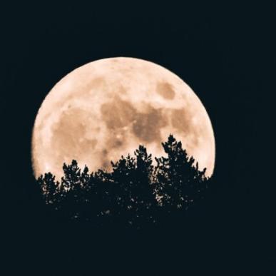 Event Moonrise ved Faaborg Vinterdage