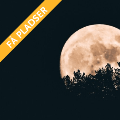 Moon rise run under Faaborg Vinterdage 2024 få pladser