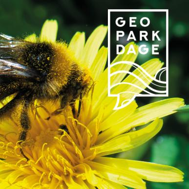 Event under Geopark Dage 2024 Vin, blomster og bier
