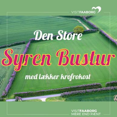 Den Store Syren Bustur med lækker frokost