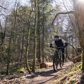 Mountainbikespor i naturområdet Svanninge Bakker | Efterår i skoven | VisitFaaborg