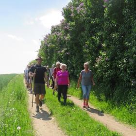Lilac hike with guide South Funen Lilac Days