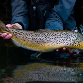 Ø-hop med fiskestang i Det Sydfynske Øhav med ophold på Sydfyn og øerne | VisitFaaborg