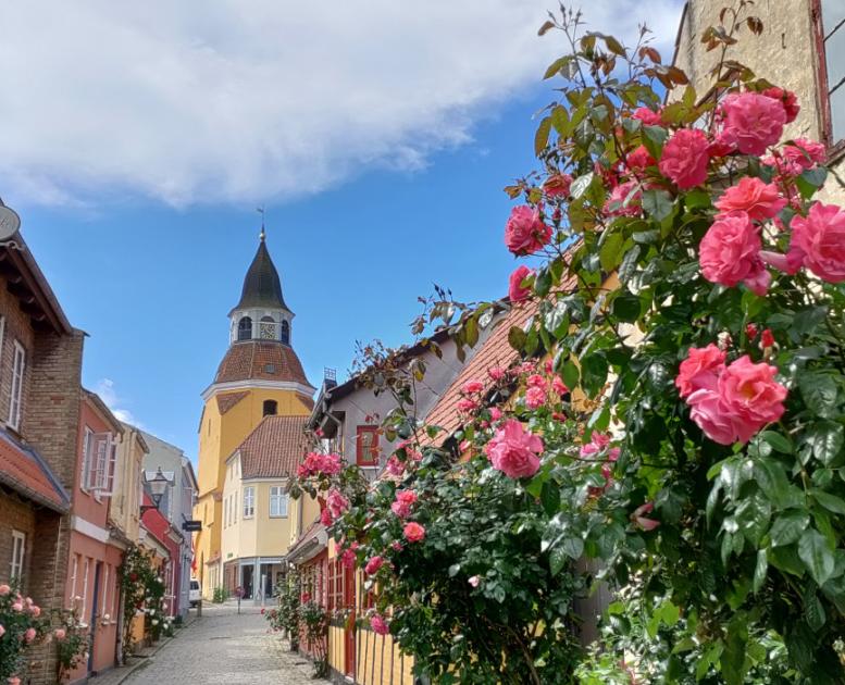 Bøjestræde i Faaborg med roser og Klokketårn | Sommerferie