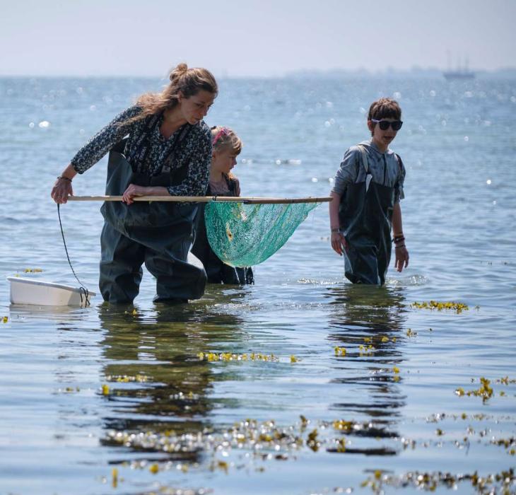 Mor og to børn fisker med net ved Bittenhus i Det Sydfynske Øhav