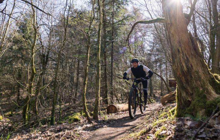 Mountainbikespor i naturområdet Svanninge Bakker | Efterår i skoven | VisitFaaborg